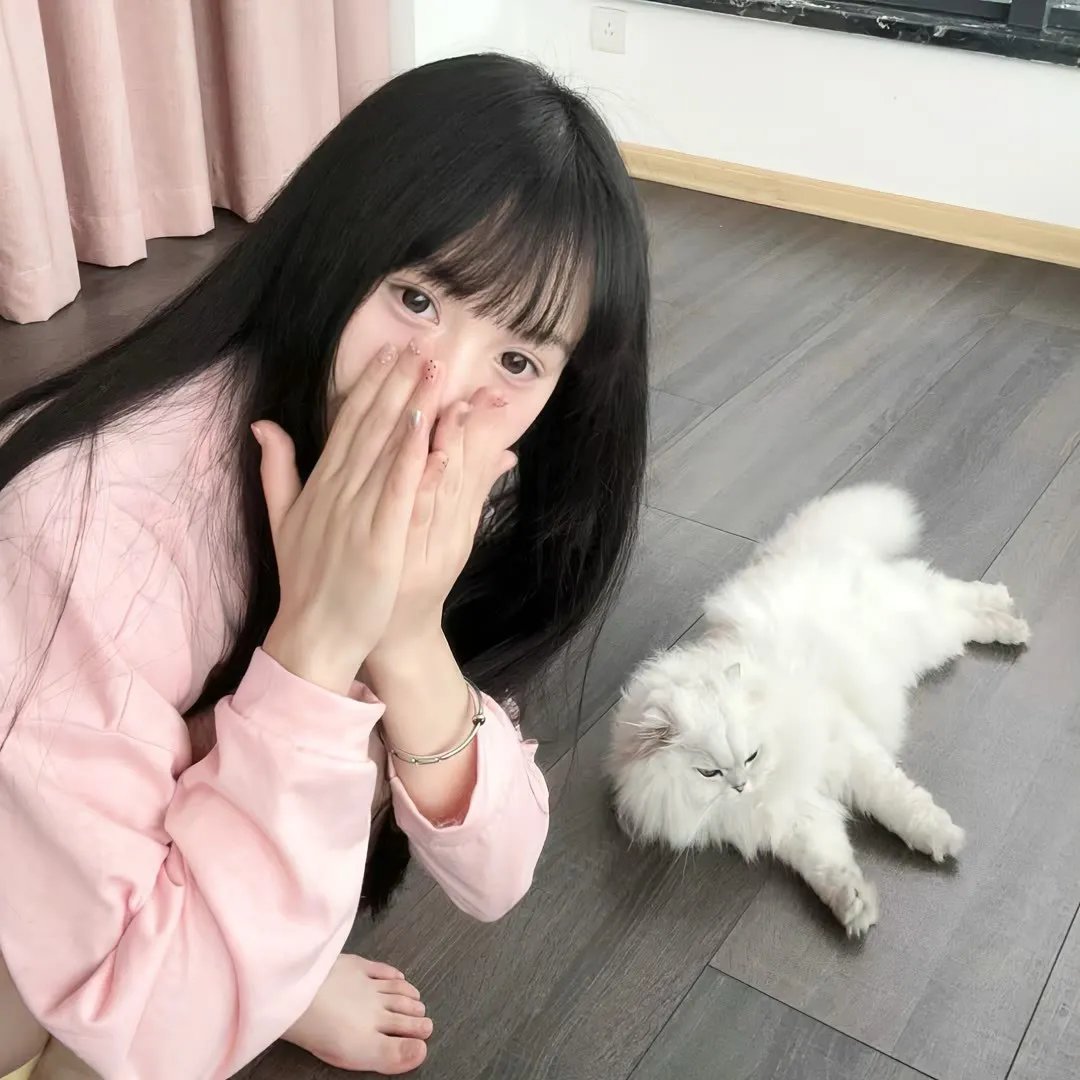 糟糠贤妻 封面